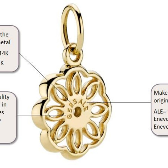 Pandora - Picture 8 of 8